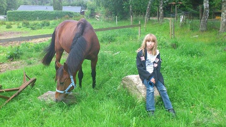 Traver Magic - Altid dejligt med selvskab billede 2