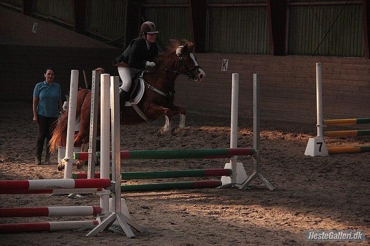 Anden særlig race Fireball - MinBedsteVen <3 - Jeg vil elske dig forevigt og hvis du nogensinde var i tvivl? Ja, så ved du det ihvertfald nu <3 billede 18