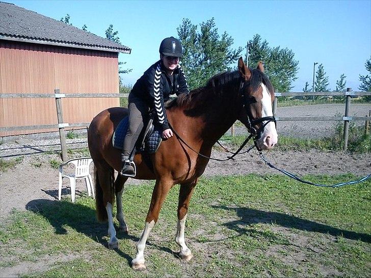 Anden særlig race Hedegårds My Precious - Første gang på ryggen af ham..  billede 9