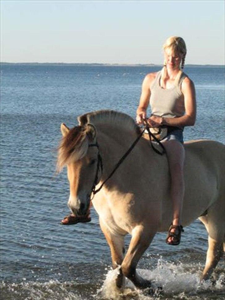 Anden særlig race Bastian (solgt) - En tur i vandet på en varm sommerdag....jamen det klager herren absolut ikke over :-) billede 7