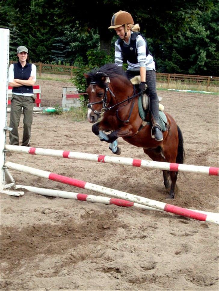 Welsh Mountain (sec A) Jolly Jumper  - 14 ♥ Mig og Jolly spring
Dygtig pony!
Billede er fra ridelejer 2010 uge 31
[ Foto: ? ] ♥ billede 14