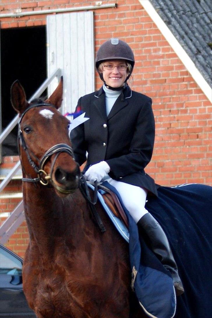 Dansk Varmblod Mølleåens Svetlana - Erica på vinderhesten 29 dec 2011 billede 1