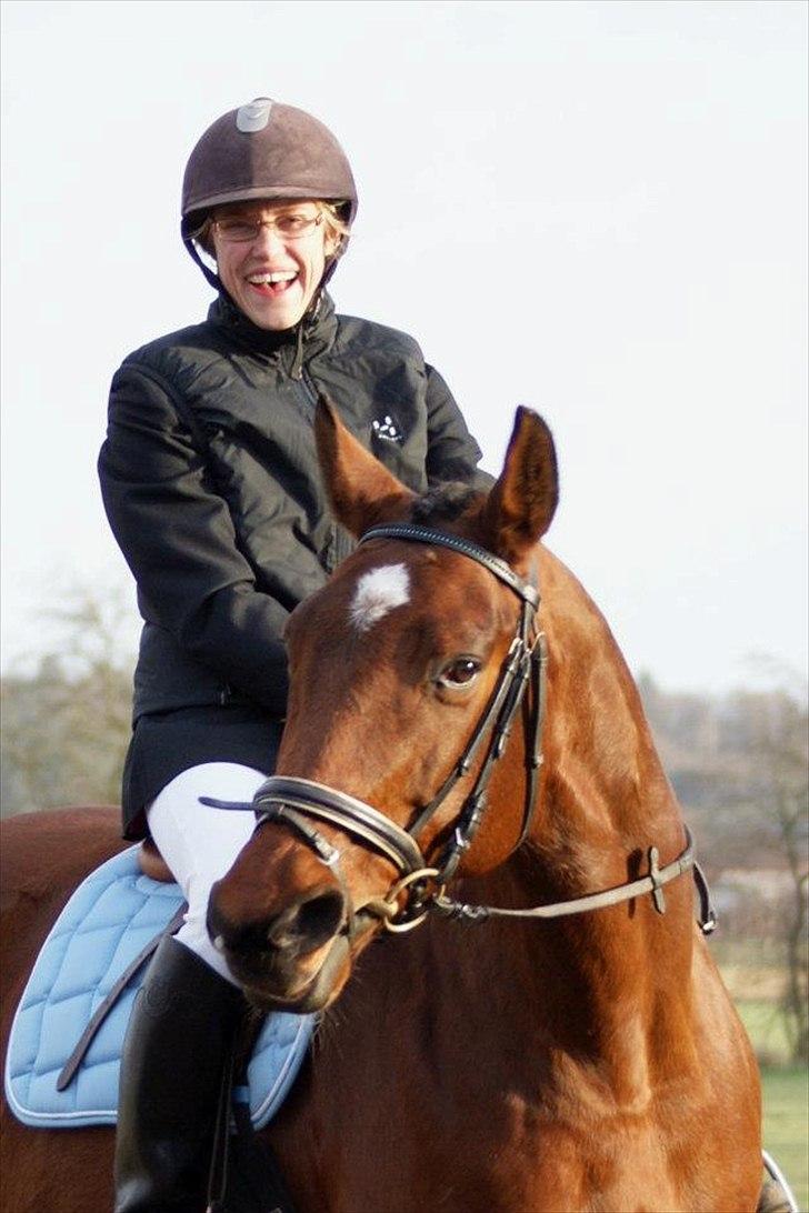 Dansk Varmblod Mølleåens Svetlana - Springlana vandt LE+LD spring d. 30 dec 2011 billede 2