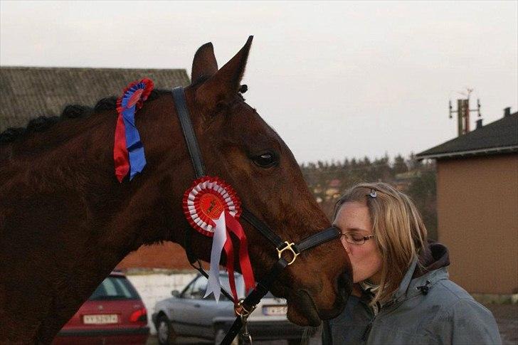 Dansk Varmblod Mølleåens Svetlana - Sweet-lana billede 19