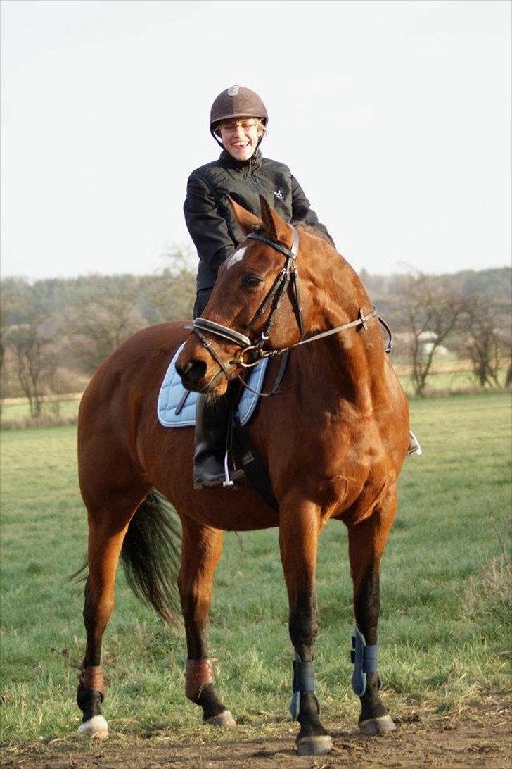 Dansk Varmblod Mølleåens Svetlana - Flot matchende i springoutfit :-) billede 20