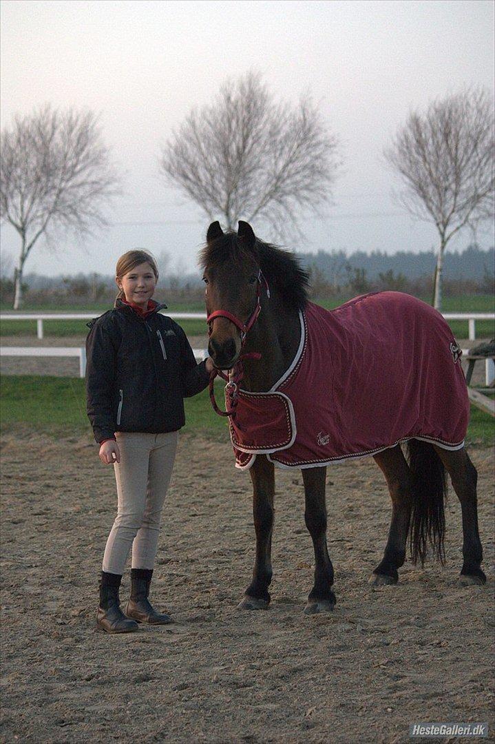 Irsk Hunter Chapman De La Cruz billede 1