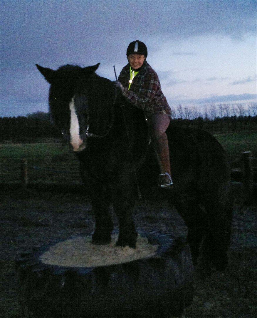 Jyde Jeppe (avl) billede 17