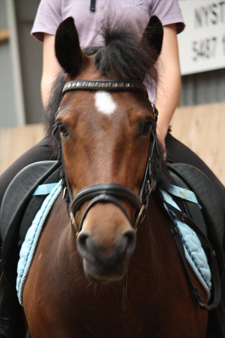 Anden særlig race Stjerne billede 1