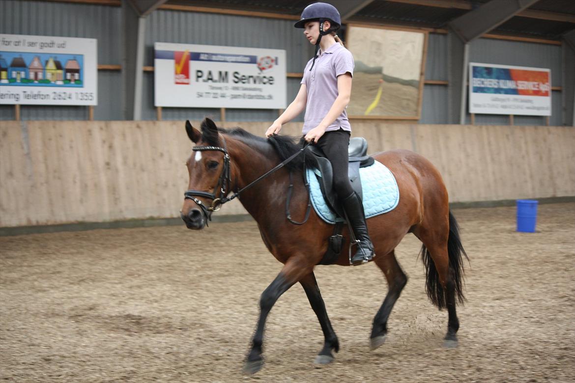 Anden særlig race Stjerne billede 2