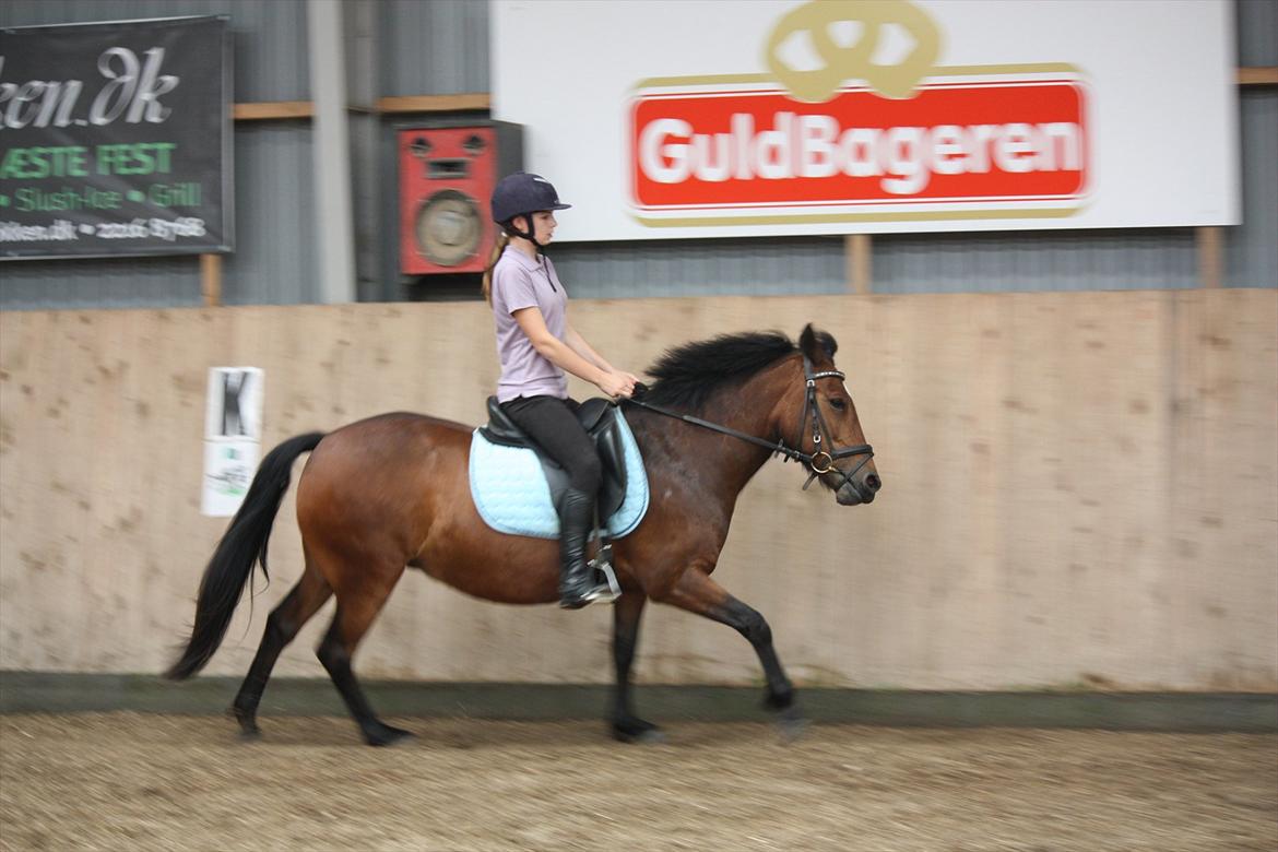 Anden særlig race Stjerne billede 3