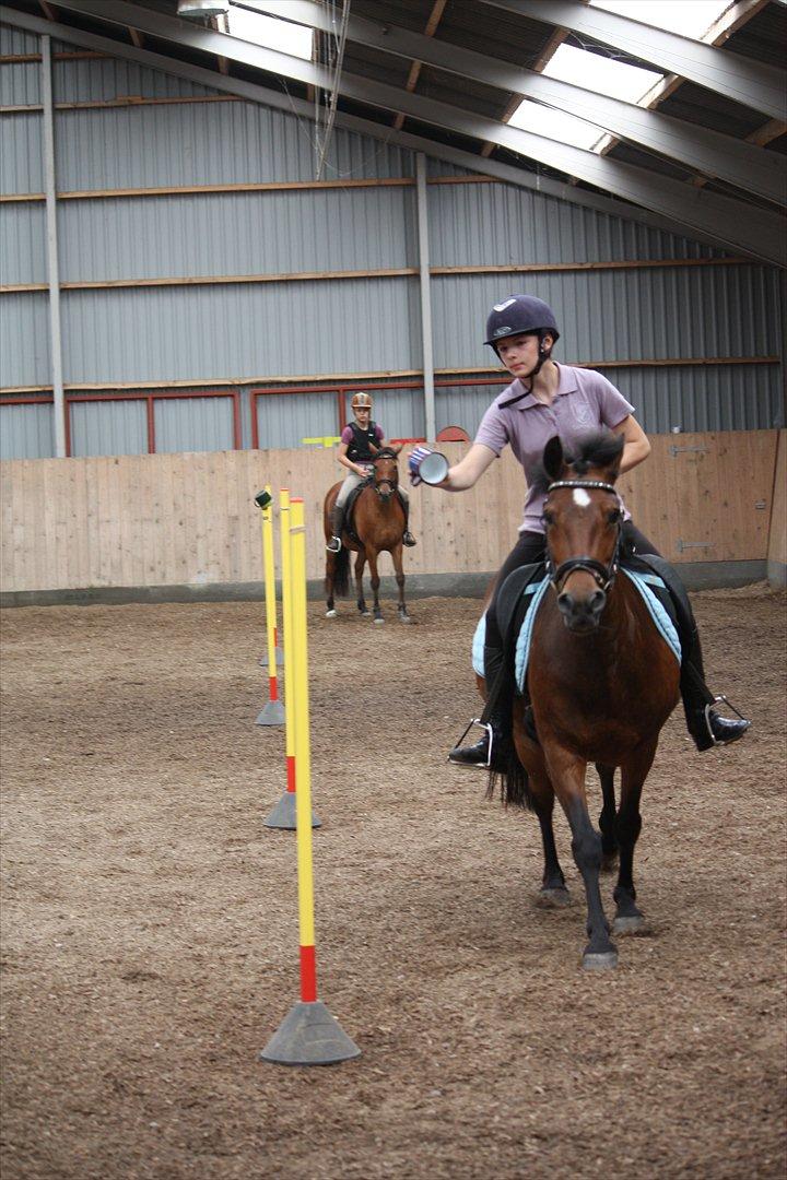 Anden særlig race Stjerne billede 5