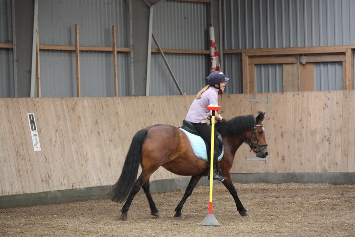 Anden særlig race Stjerne billede 6