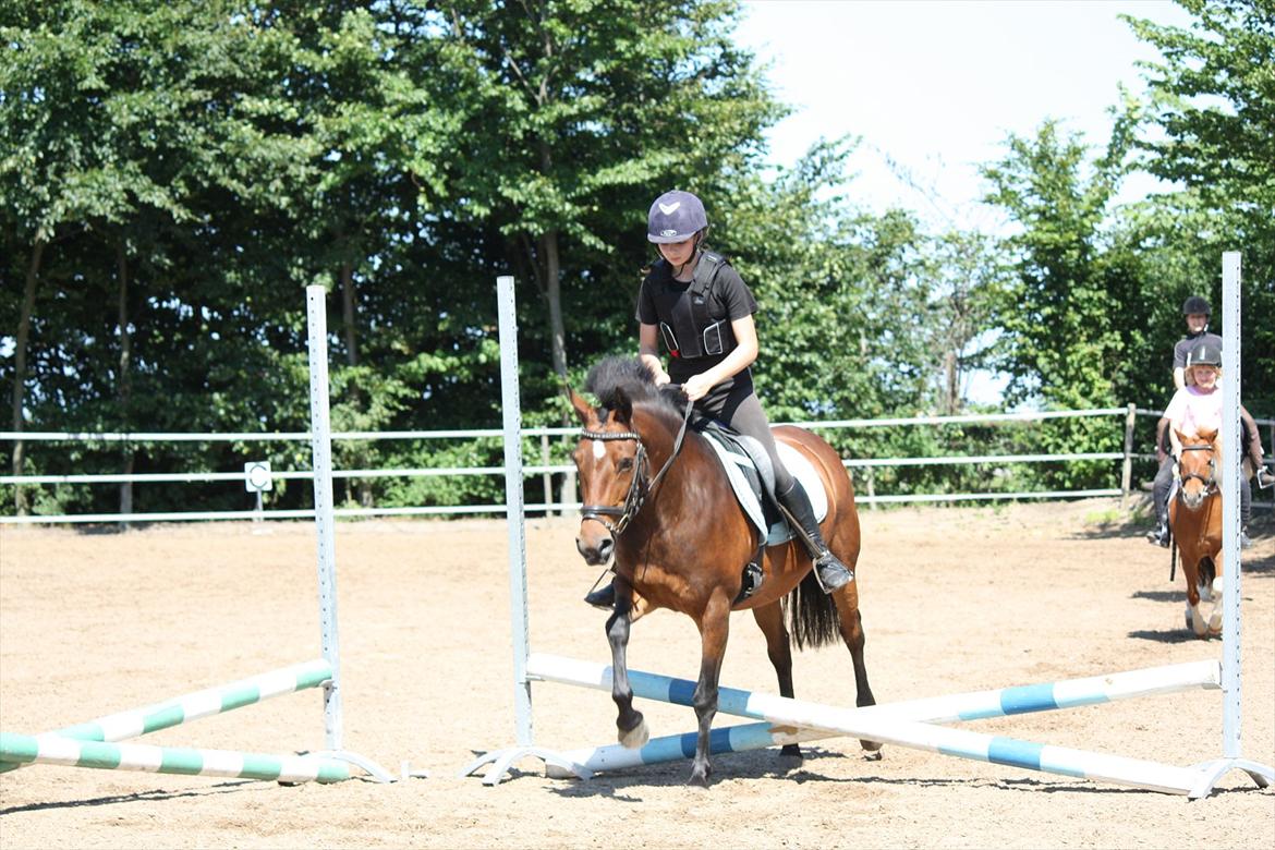 Anden særlig race Stjerne billede 7
