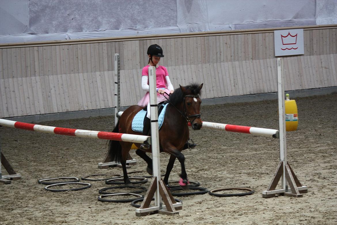 Anden særlig race Stjerne billede 9