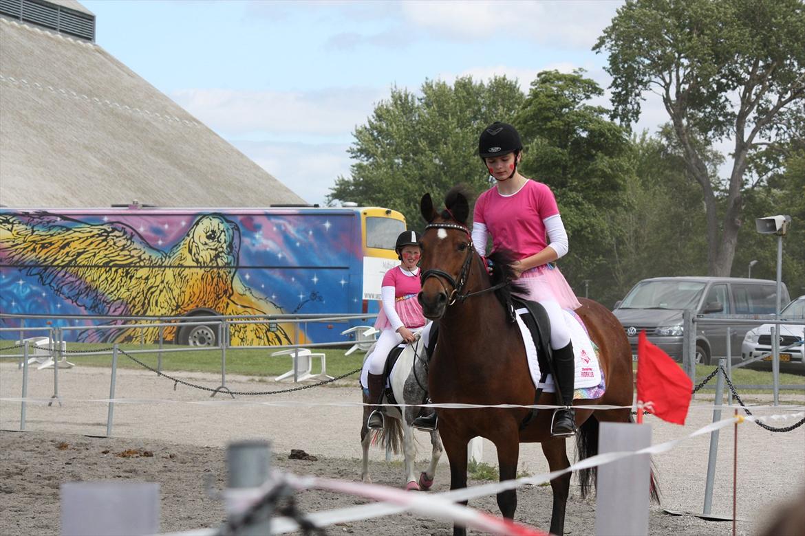 Anden særlig race Stjerne billede 12