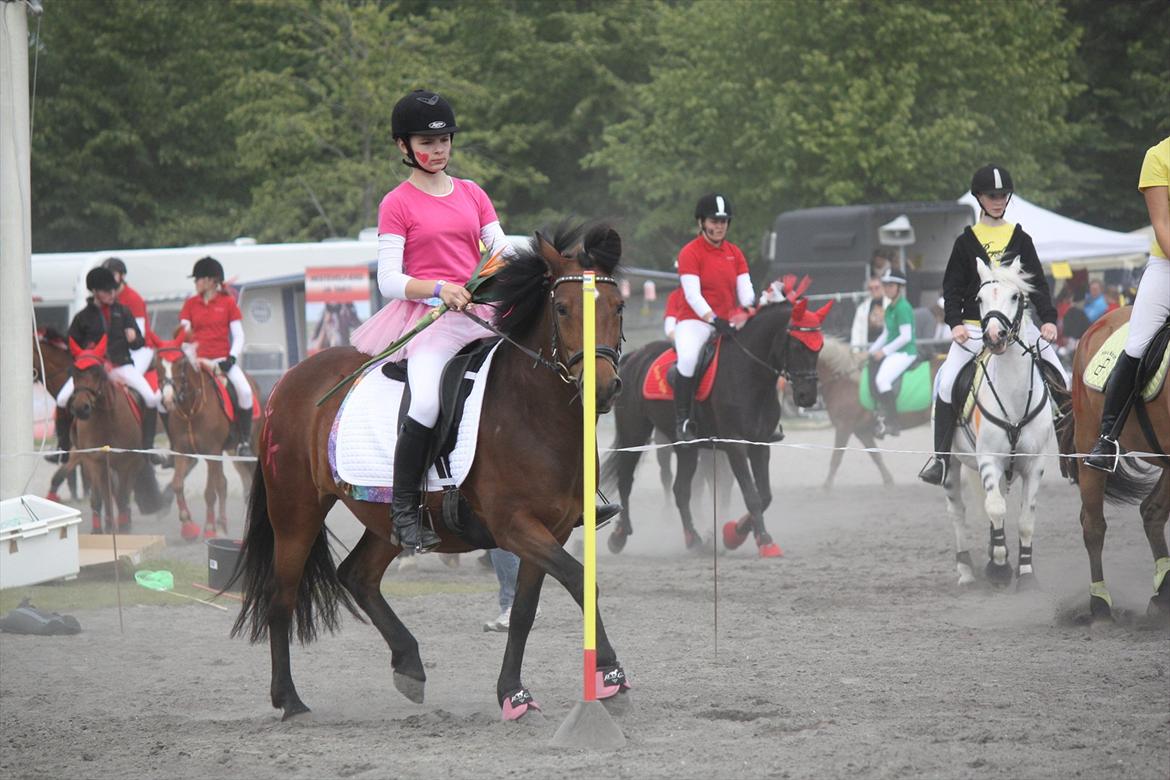 Anden særlig race Stjerne billede 13