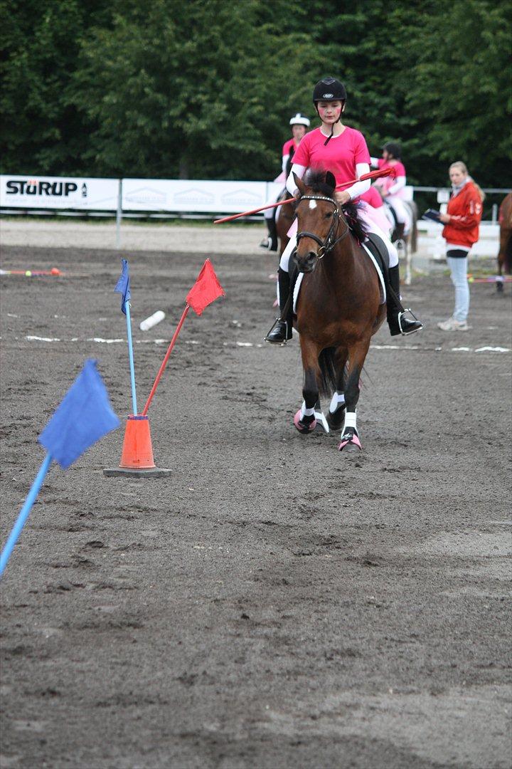 Anden særlig race Stjerne billede 15