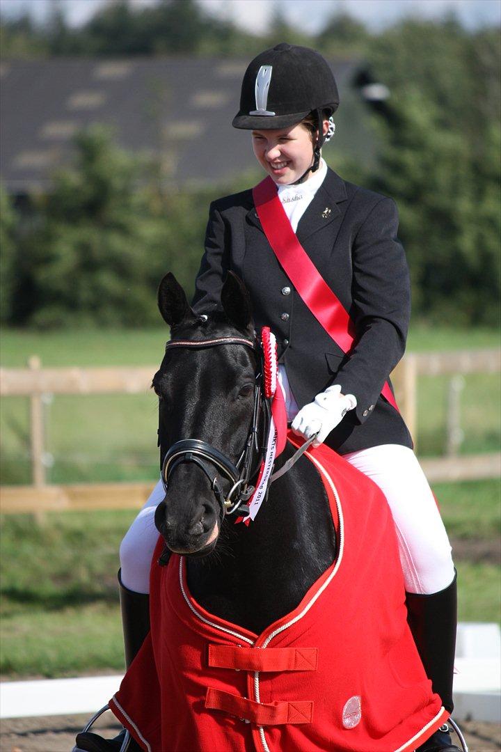 DSP Bethoven af stensnæs B-pony - Distriktsmester!! billede 12