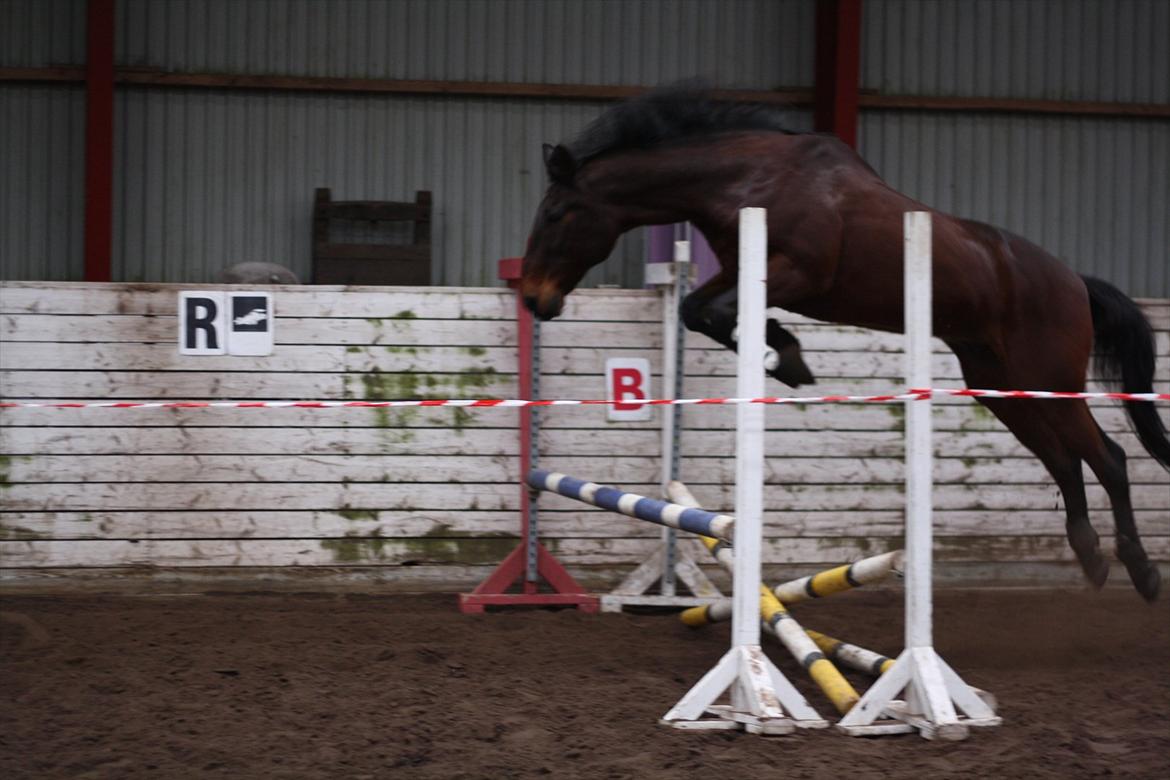 Traver Rune All Over (SAVNES!!) <3 - „Den lille tåre, som ingen ser, falder mens de andre ler. Men selvom den falder tungt til jord, betyder den mere end tusind ord.“ billede 19