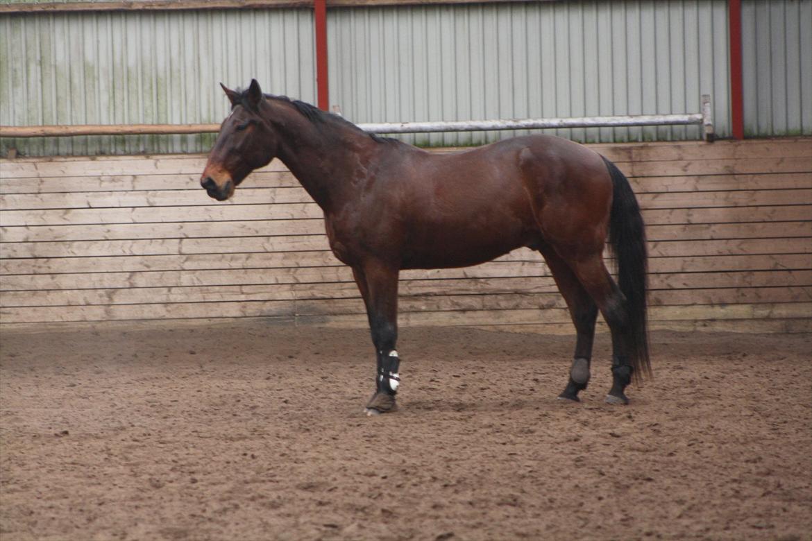 Traver Rune All Over (SAVNES!!) <3 - Too young to die too old to cry too much in love to say goodbye billede 11