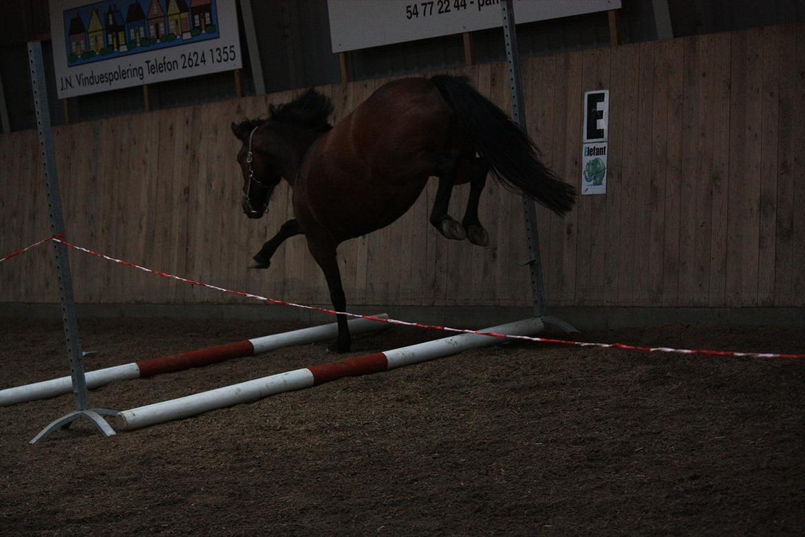 Anden særlig race Stjerne billede 16