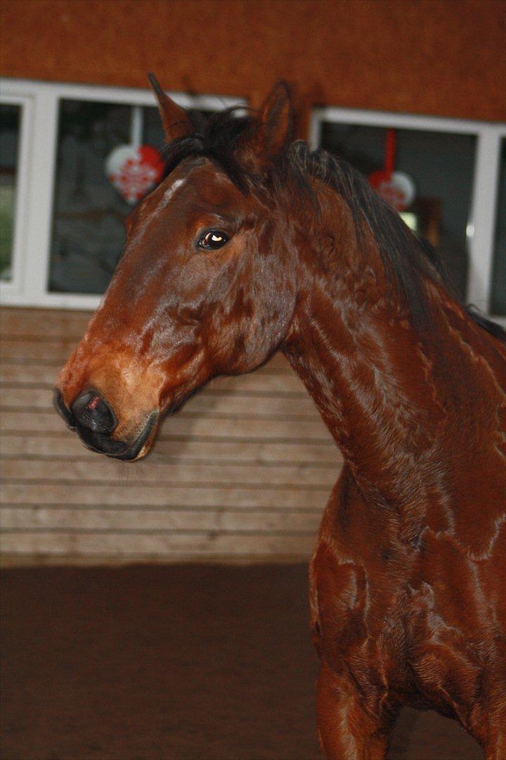 Traver Rune All Over (SAVNES!!) <3 - You’re so beautiful But that’s not why I love you I’m not sure you know
 That the reason I love you is you
 Being you Just you. <3
  billede 14