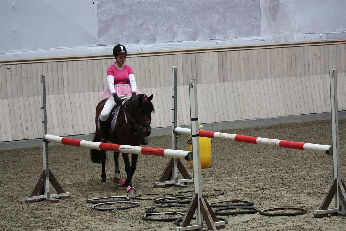 Anden særlig race Brenda/Carina billede 13