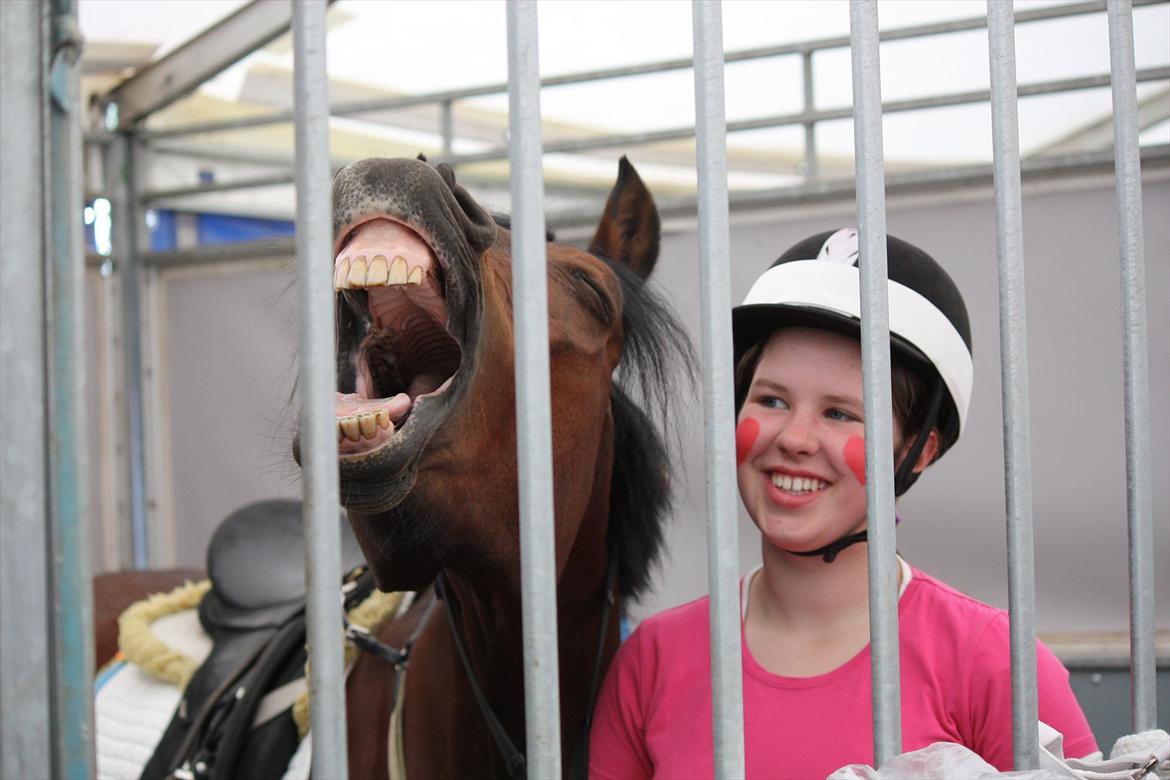 Anden særlig race Brenda/Carina billede 14