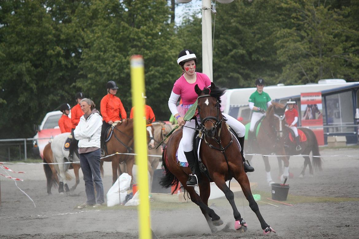 Anden særlig race Brenda/Carina billede 15