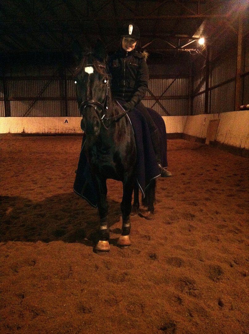 Welsh Cob (sec D) Dark Shadow <3 - vinter 2011 billede 12