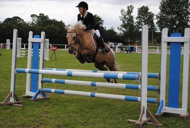 Palomino paloma 256(solgt) - ham der låne paloma af helena..
fantastisk pony!! der var ingen der troede mig den gang jeg sagde " denne her pony... den bliver en af de helt store stjerner!<3 billede 17