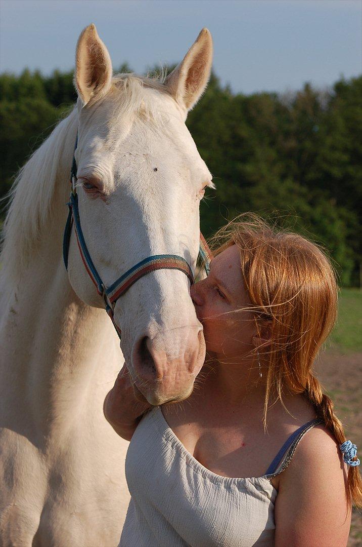 Palomino Sasja Af Dutterup - Mig og min lille hest <3 billede 2