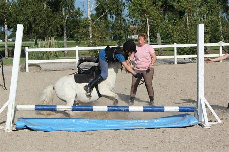 Anden særlig race Kalhaves Laban billede 8