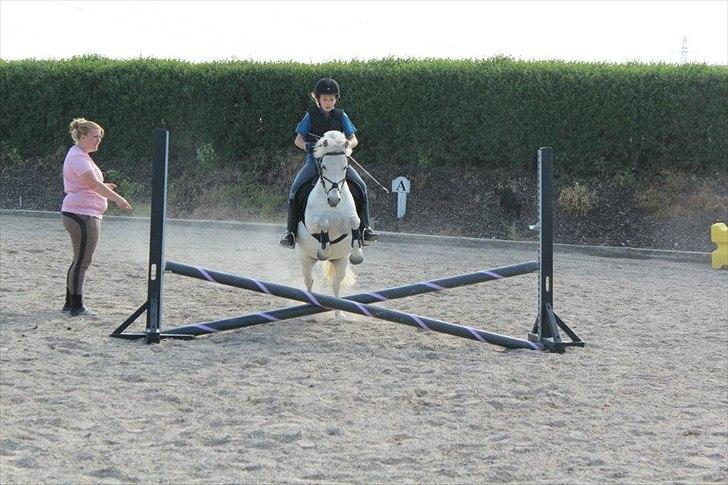 Anden særlig race Kalhaves Laban billede 9