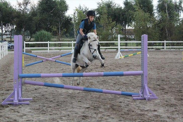 Anden særlig race Kalhaves Laban billede 12