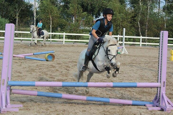 Anden særlig race Kalhaves Laban billede 15