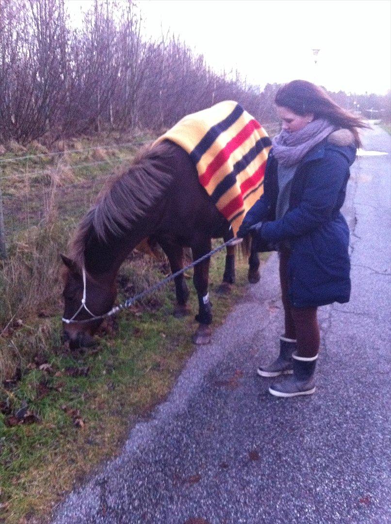 DSP Jolene  - Min prinsesse, du er ubeskrivelig! billede 19