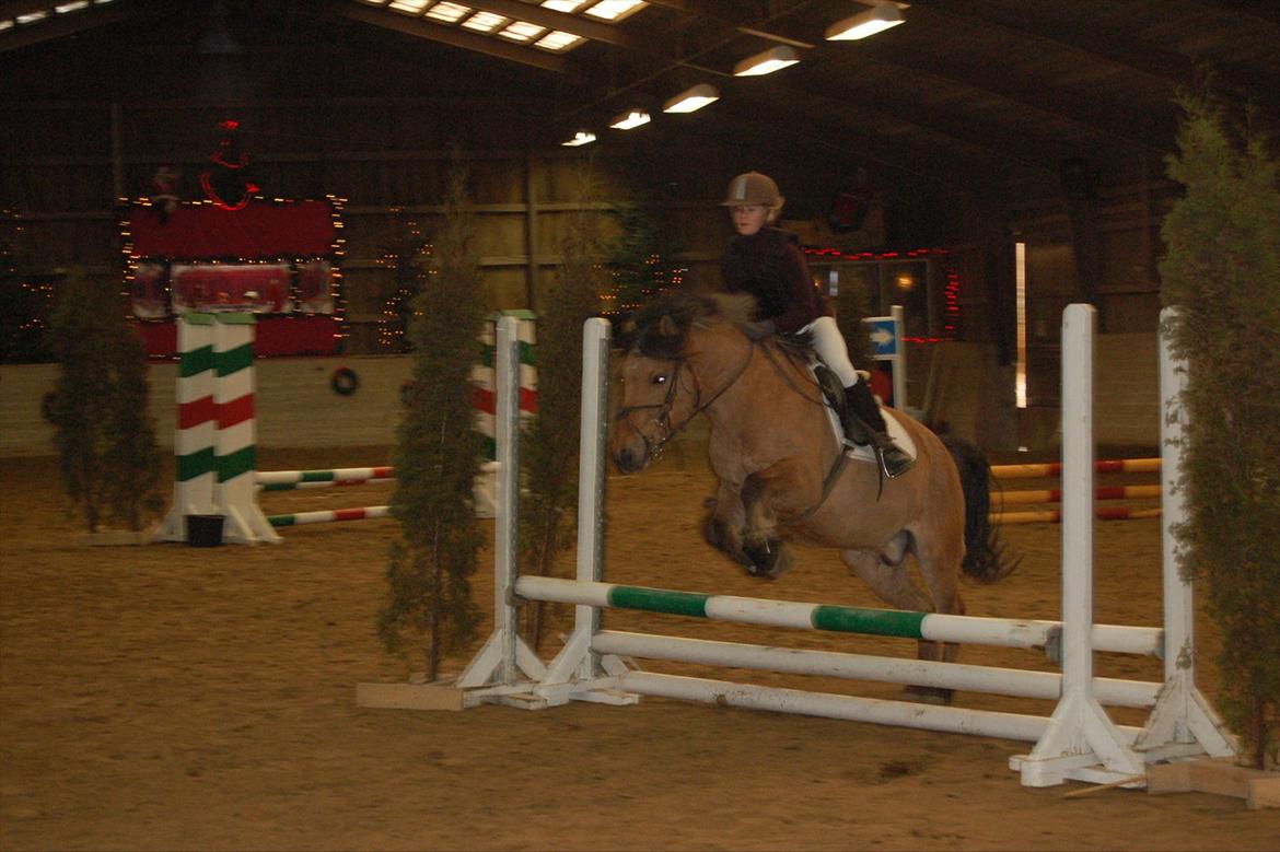 Anden særlig race Bailey spring-ponyen!!<3 billede 3