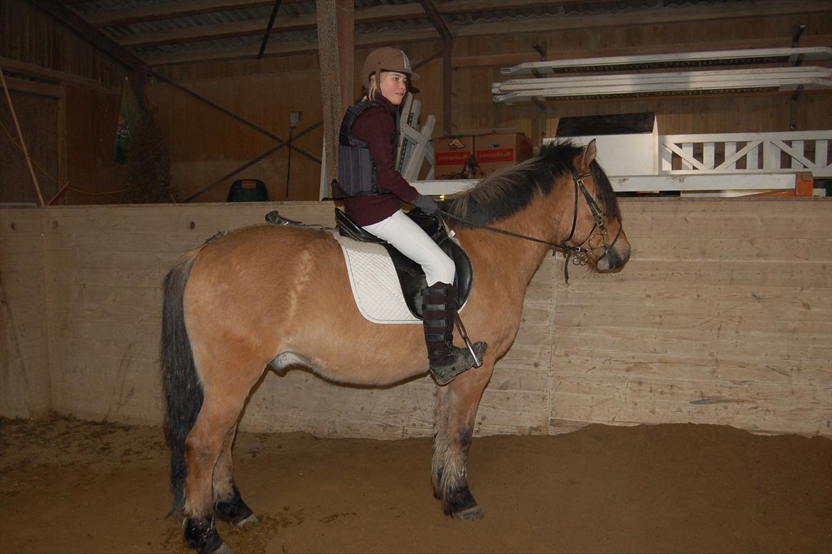 Anden særlig race Bailey spring-ponyen!!<3 billede 11