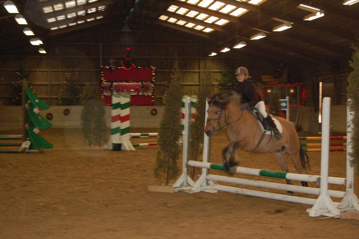 Anden særlig race Bailey spring-ponyen!!<3 billede 13