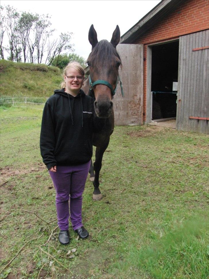Traver Rabel  - Mig og Rabel billede 1