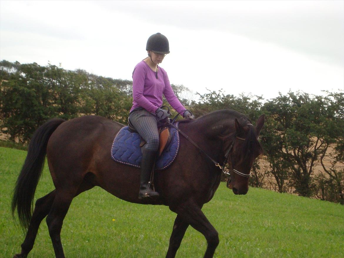 Traver Rabel  - Nina billede 2