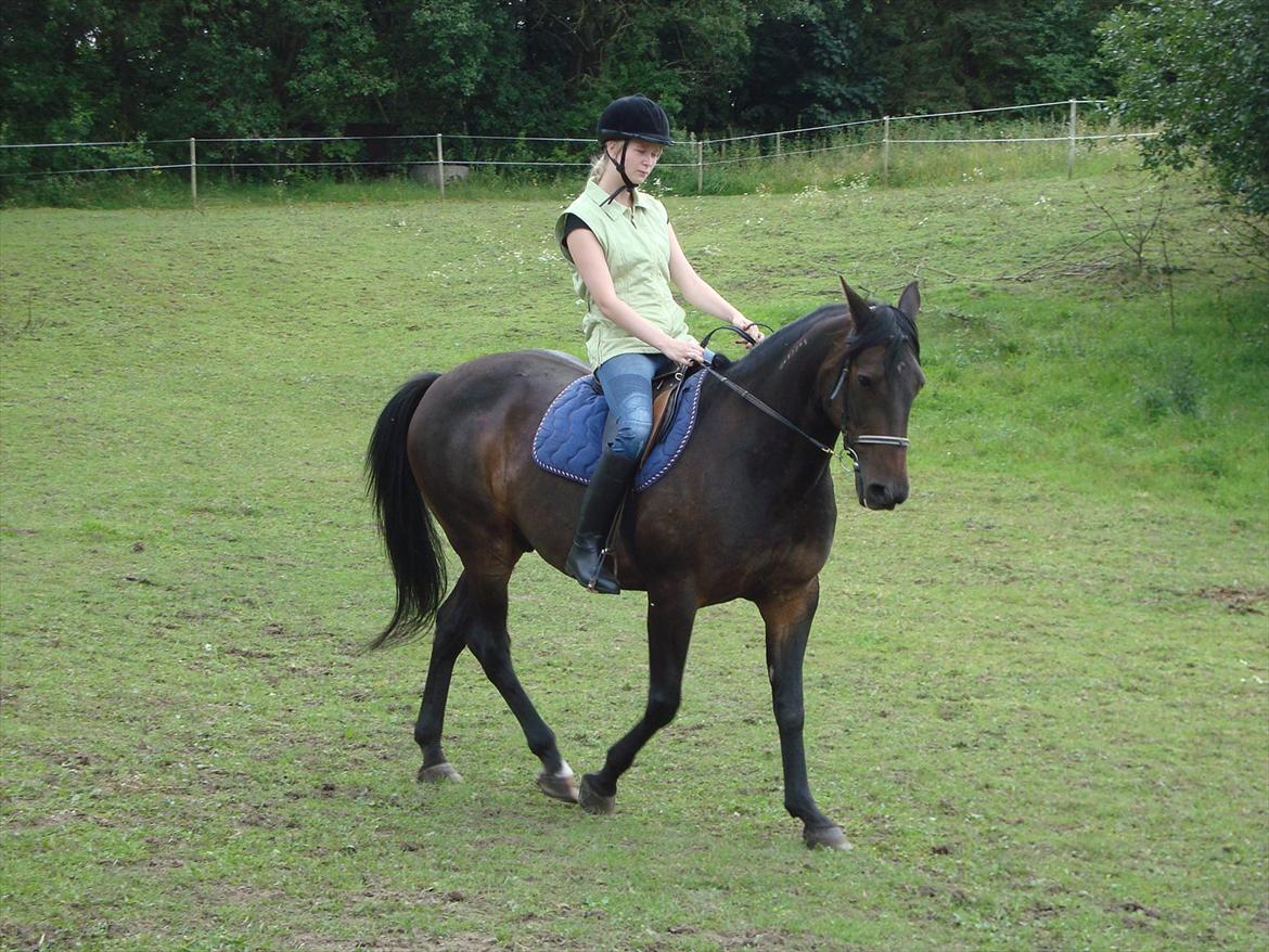 Traver Rabel  - Liza billede 6