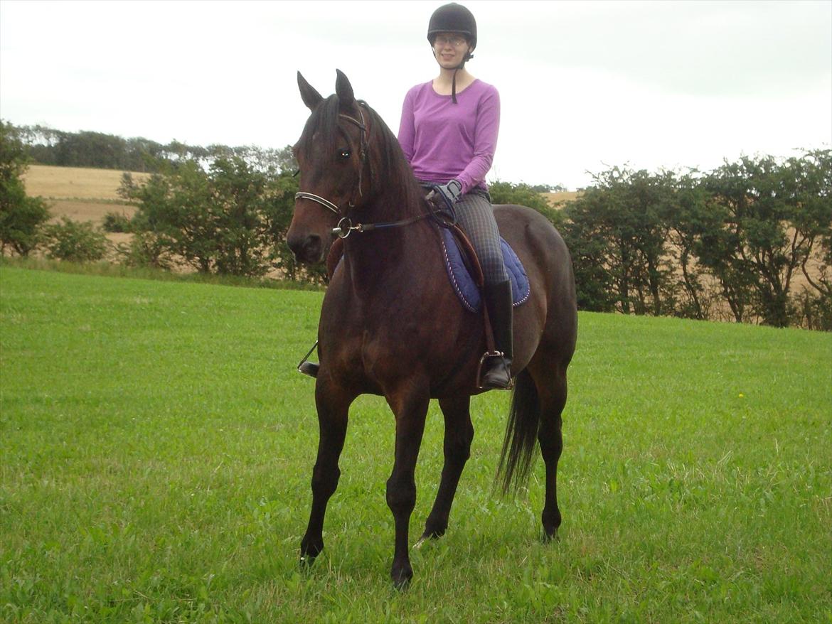 Traver Rabel  - Nina billede 13