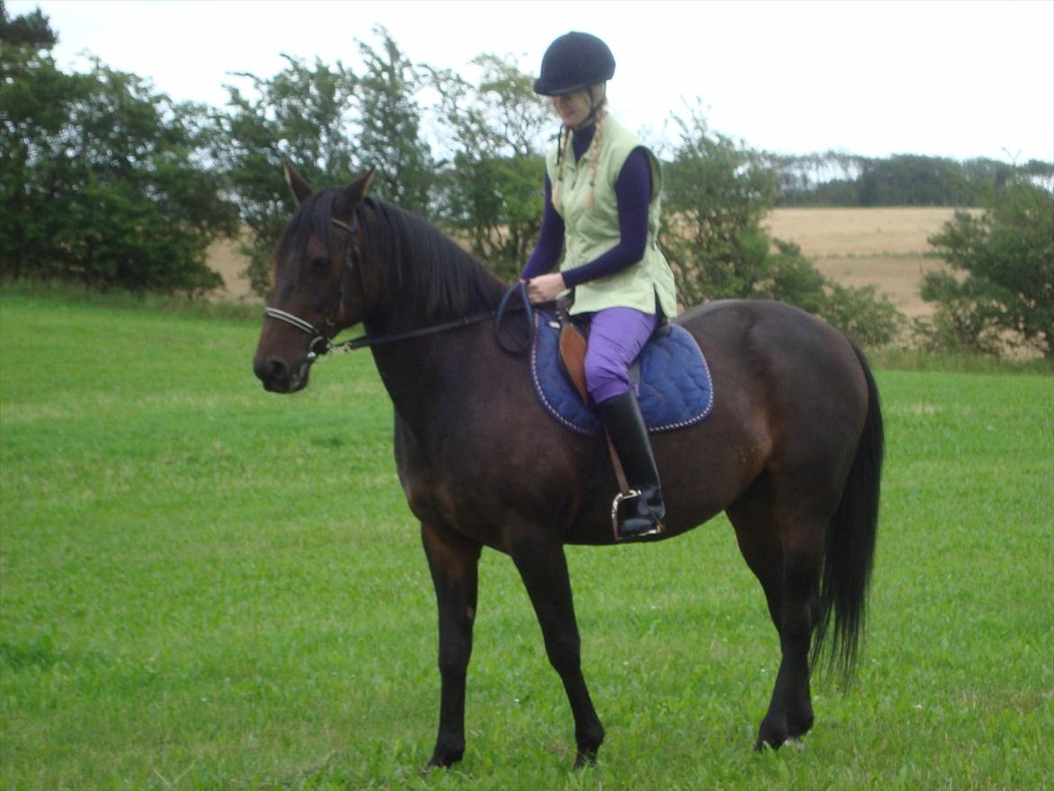 Traver Rabel  - Liza billede 16