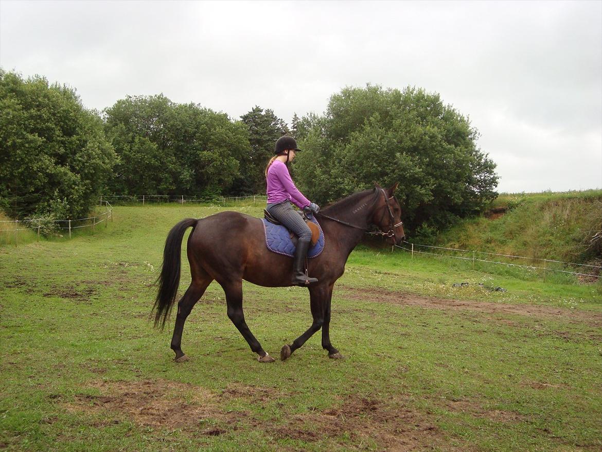 Traver Rabel  - Nina billede 18