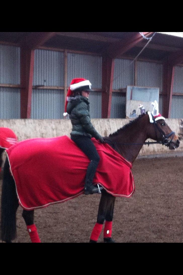 Holstener zarina - juleoptog d.11 dec på katrinebjerg :-) billede 4