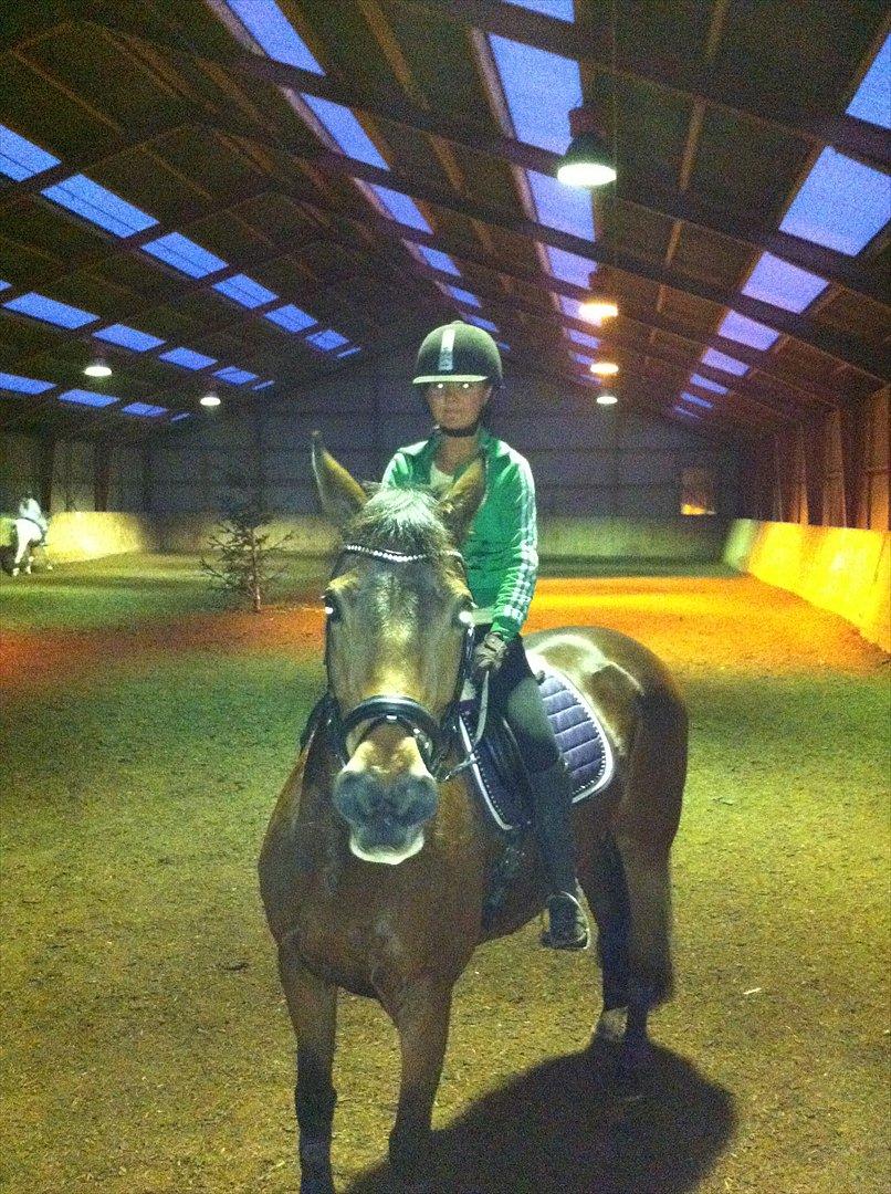 Holstener zarina billede 6