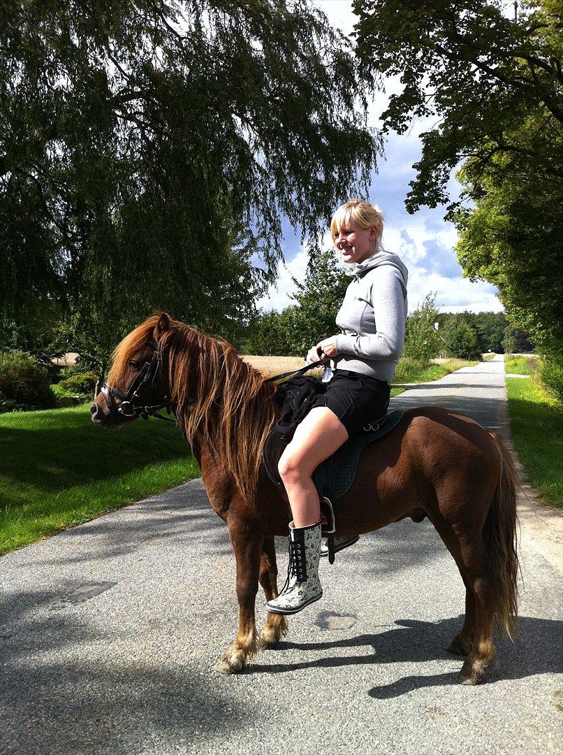 Anden særlig race Milan billede 7