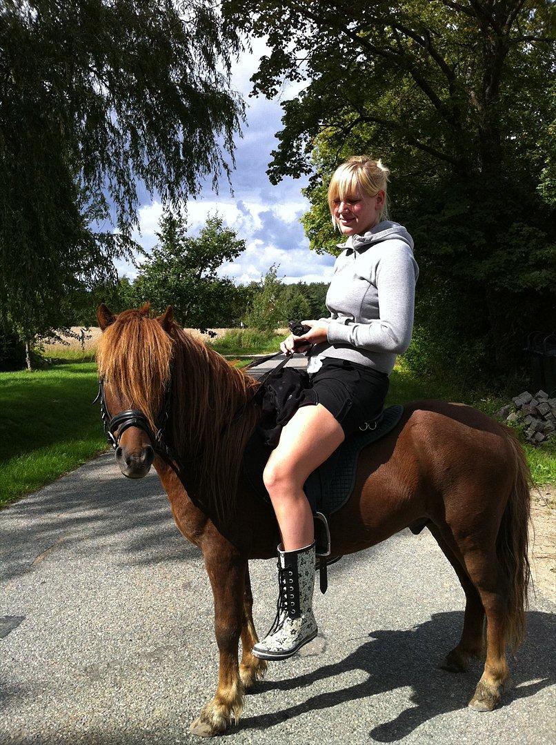 Anden særlig race Milan billede 6